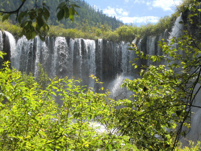 b0044296_17113441.jpg