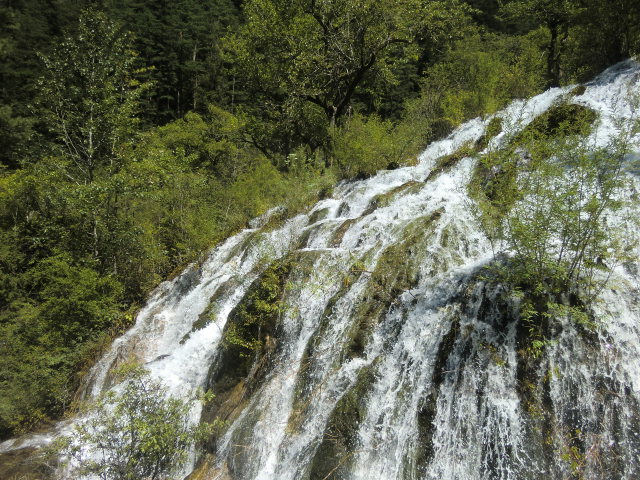 b0044296_17193986.jpg