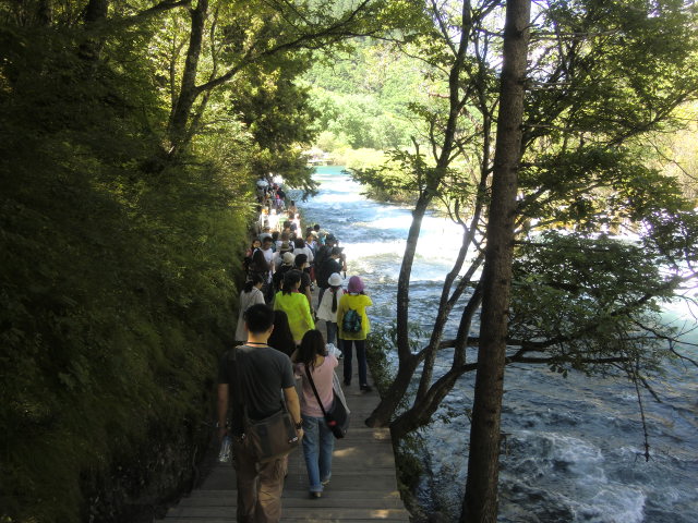 b0044296_17221570.jpg