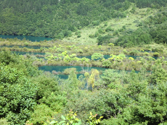 b0044296_17255097.jpg