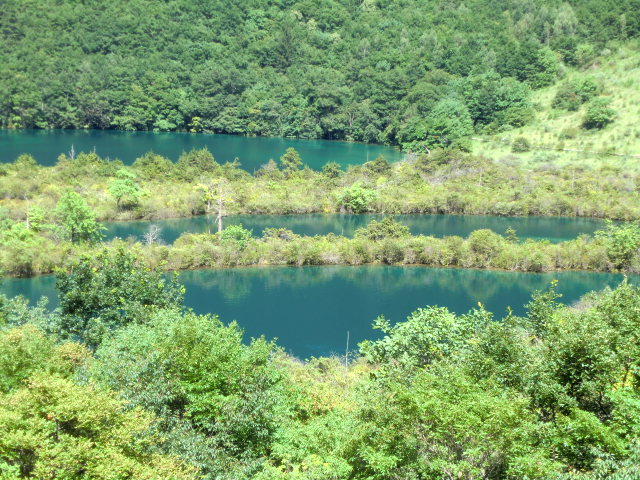 b0044296_17264318.jpg
