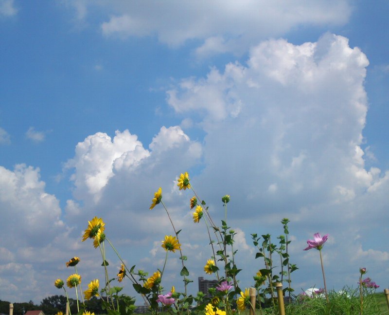 a0031000_2135479.jpg