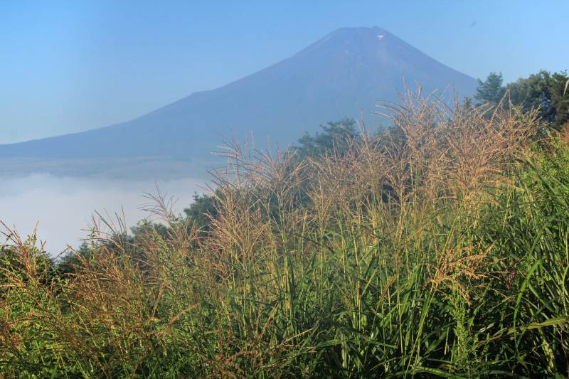 a0188405_338351.jpg