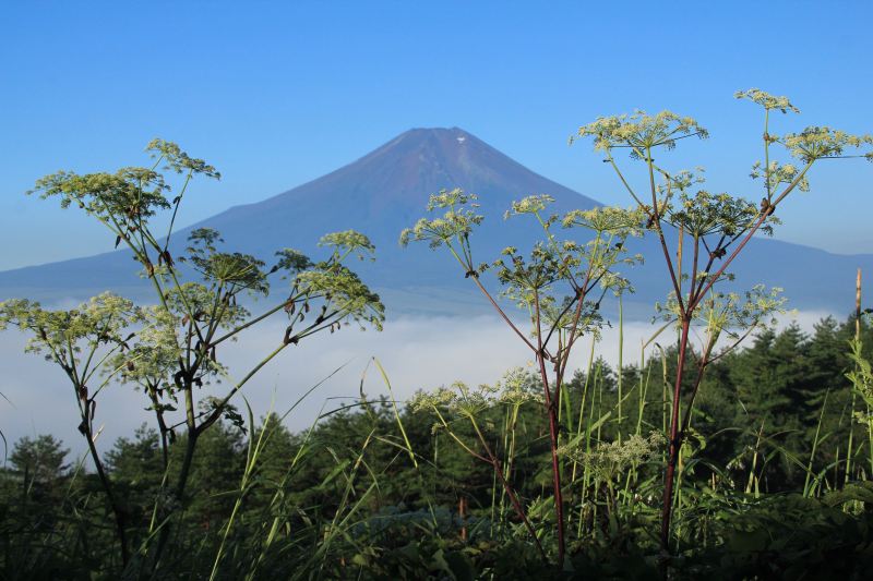 a0188405_3414822.jpg
