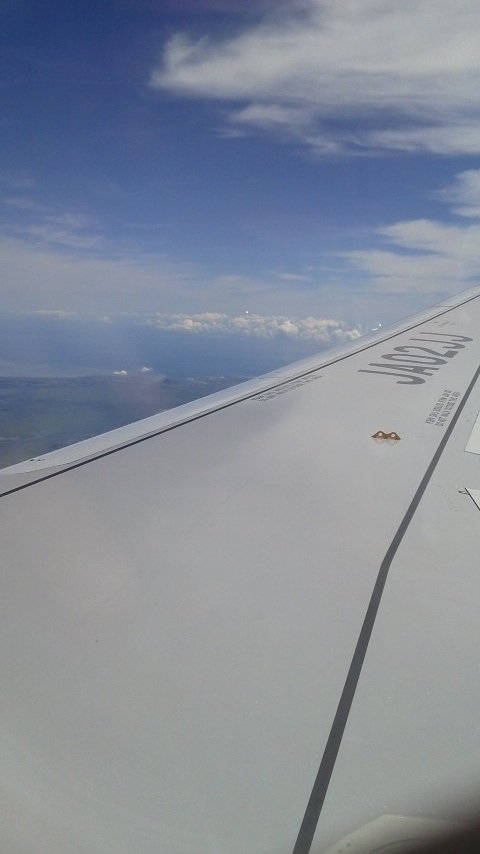e0123206_1005269.jpg