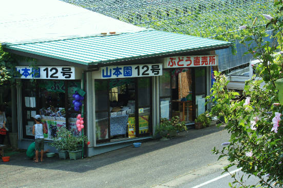 d0154609_1023920.jpg