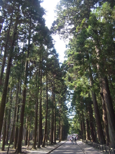e0203009_23185913.jpg