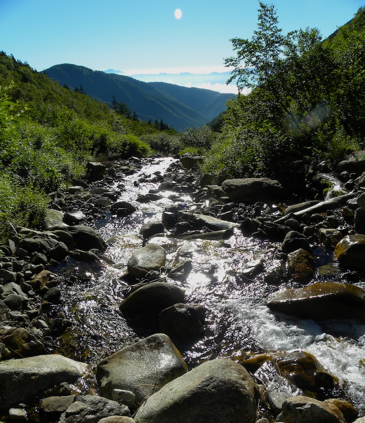 c0078410_8225848.jpg