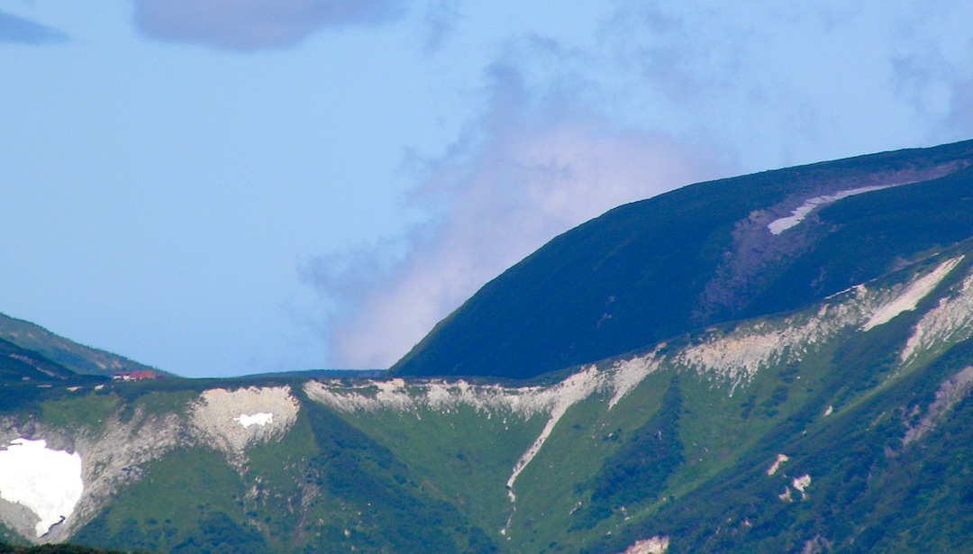 c0078410_8584086.jpg