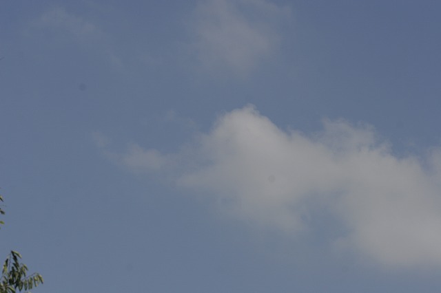 a0098513_8451436.jpg