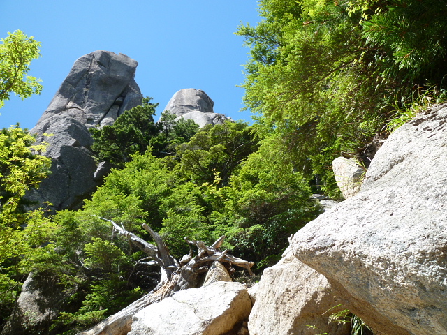 d0170615_8291024.jpg
