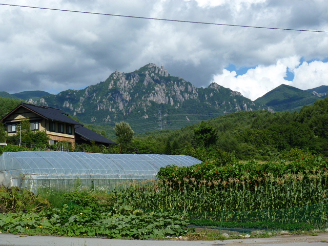 d0170615_8293451.jpg