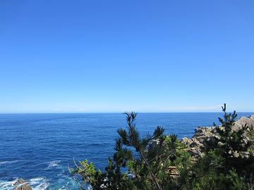 f0154218_8293151.jpg
