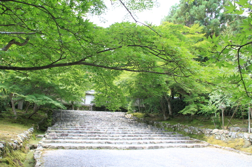 b0162824_1956268.jpg