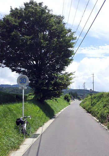 e0089826_227427.jpg