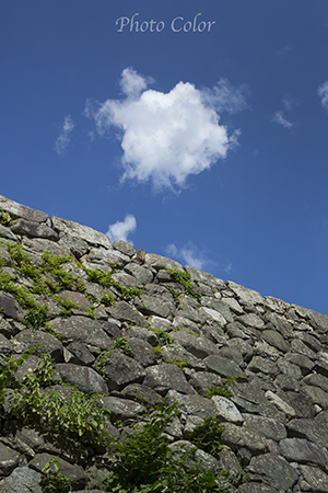 f0078127_1846444.jpg
