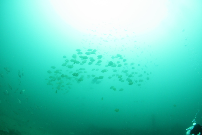 c0034029_22103342.jpg