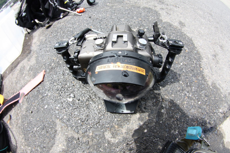 c0034029_2262055.jpg