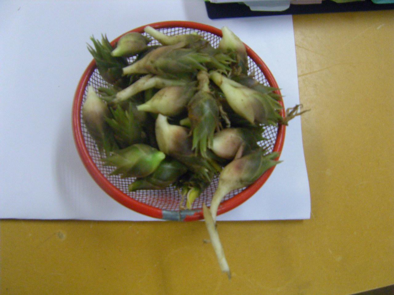 a0119132_18304348.jpg