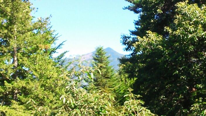 e0134235_20194449.jpg