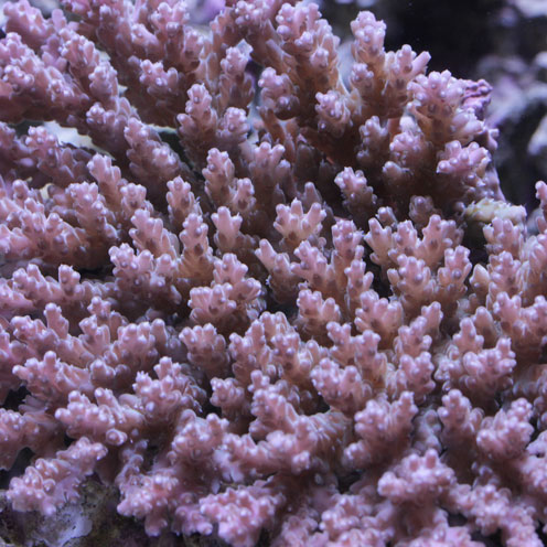 d0221436_2022115.jpg