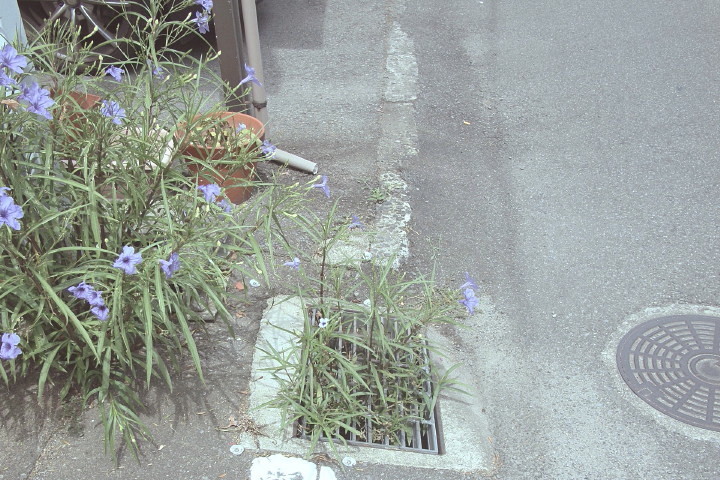 d0241937_1734756.jpg