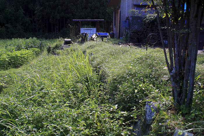 e0083238_0585866.jpg