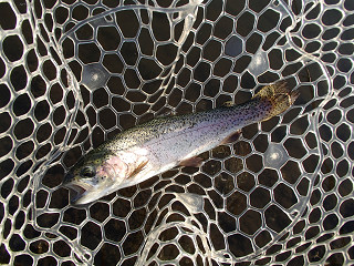 f0065341_179184.jpg