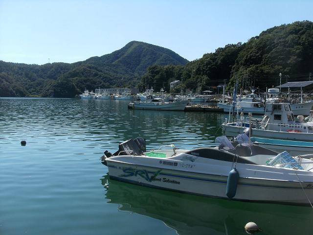 a0124543_1734793.jpg