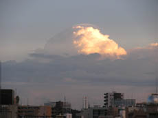 e0181546_1605512.jpg