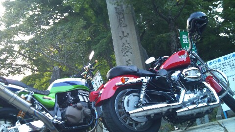 c0038548_774274.jpg