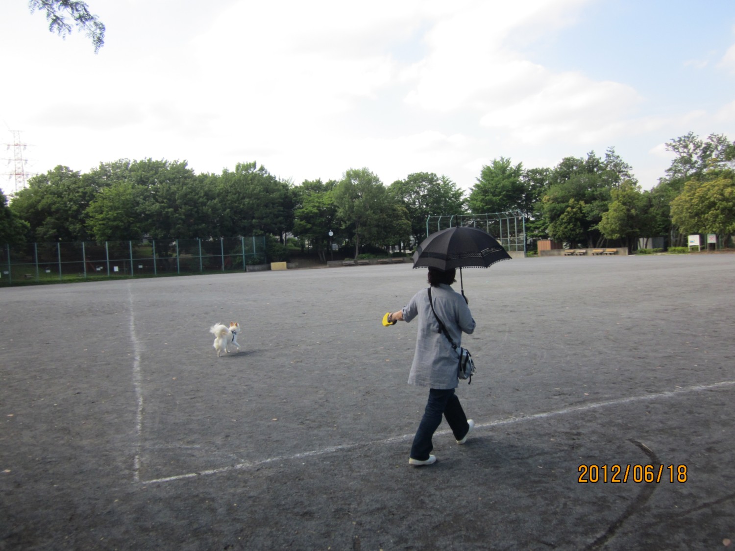 d0075649_925327.jpg