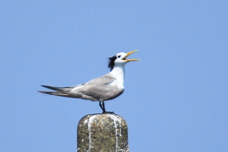 c0136654_0115545.jpg