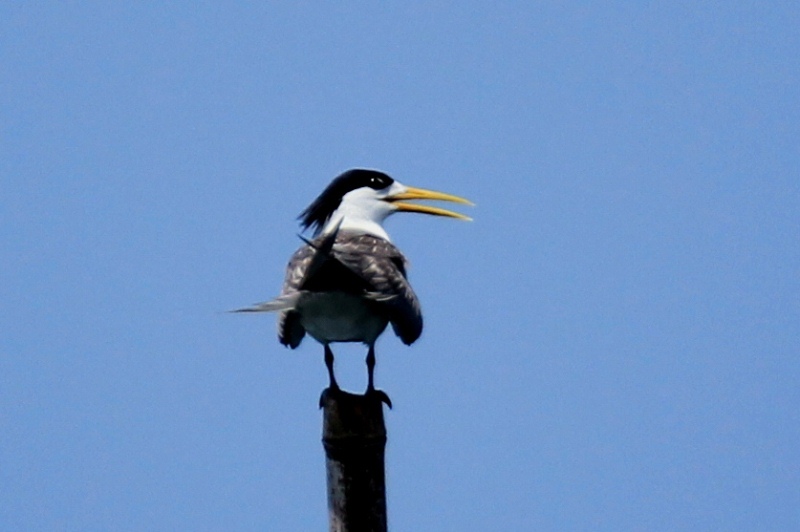 c0136654_091373.jpg