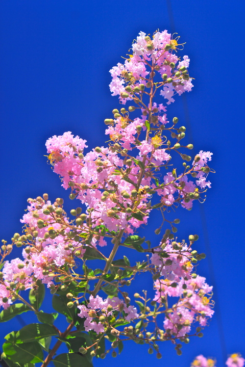 a0248459_19295119.jpg