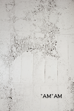 e0145259_19103628.gif