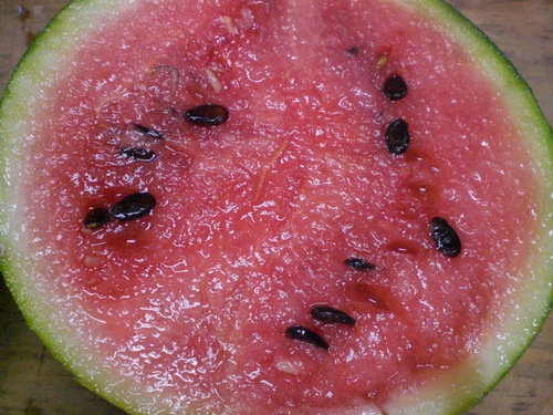 d0098363_126076.jpg