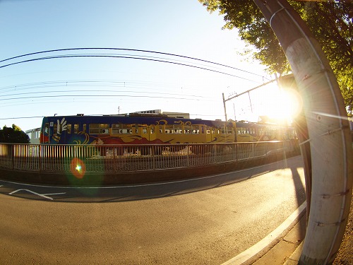 b0180764_1232177.jpg