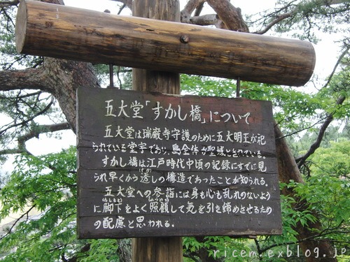 c0127366_756936.jpg