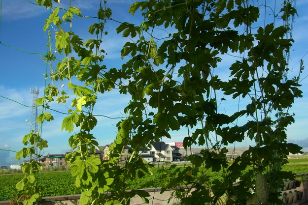 b0194267_222679.jpg