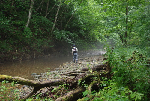 b0150670_1718561.jpg