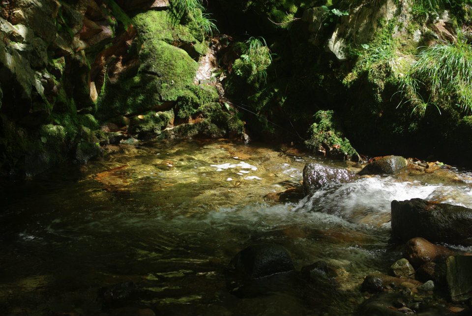 b0150670_1724210.jpg