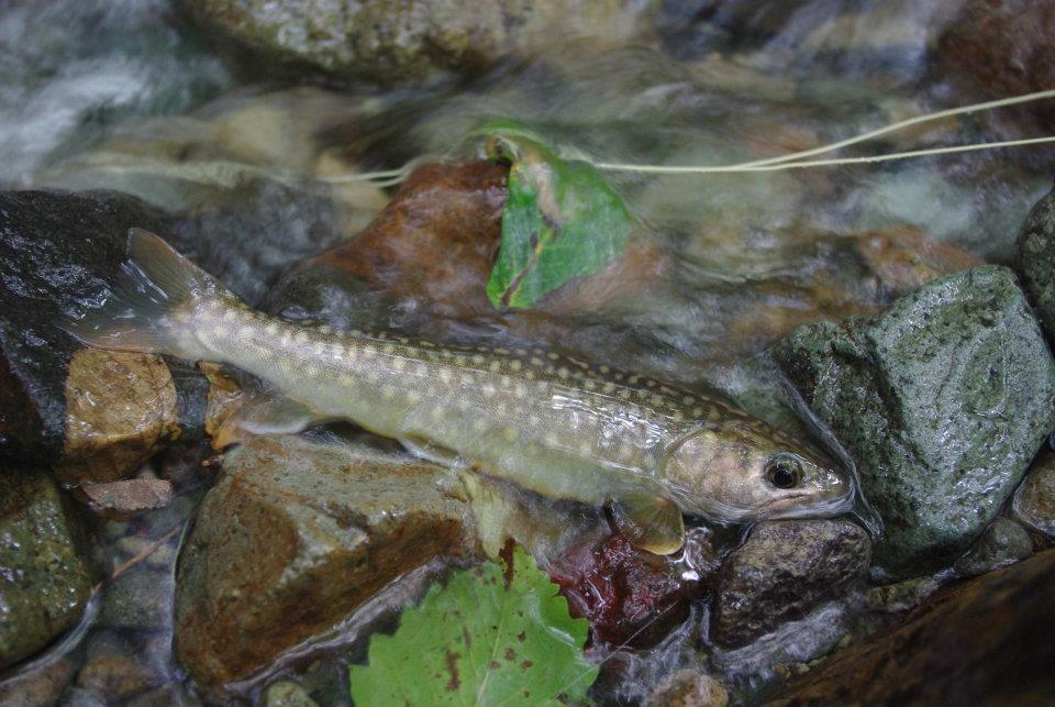 b0150670_1733531.jpg