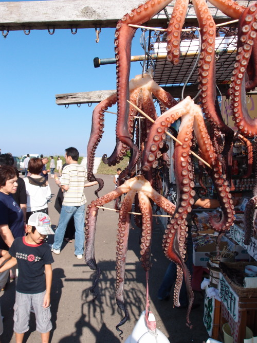 c0122670_6463420.jpg