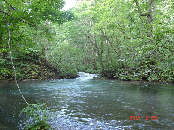 a0188775_1351843.jpg