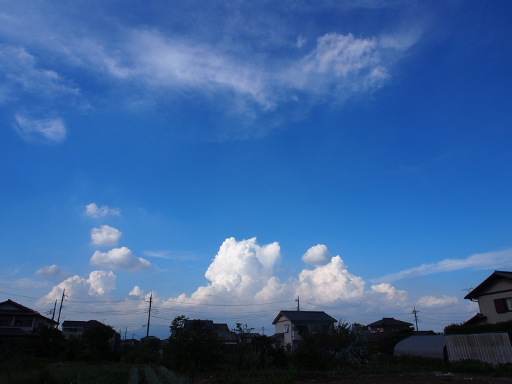 b0133875_1653419.jpg