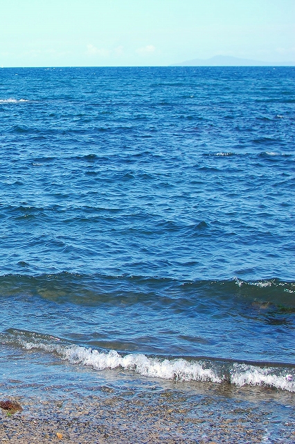 f0141475_1105452.jpg