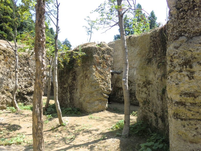 e0027681_13525357.jpg