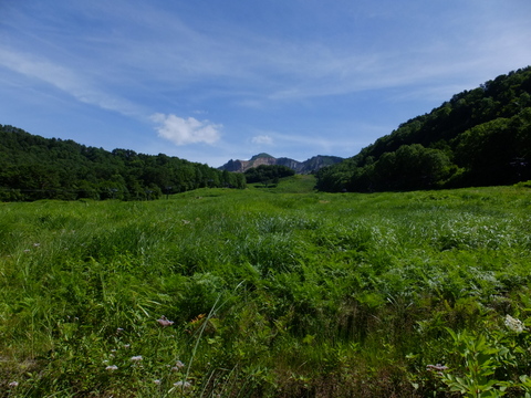 a0043982_20482064.jpg