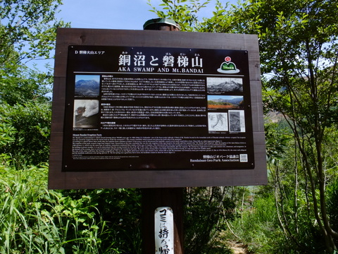 a0043982_20491876.jpg